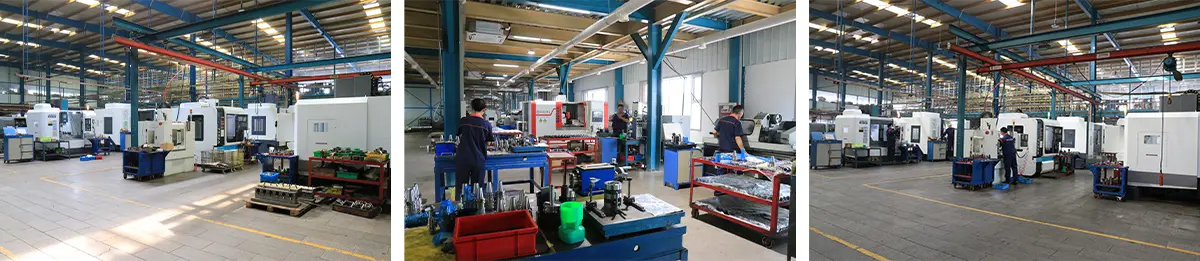 Profil de l'entreprise