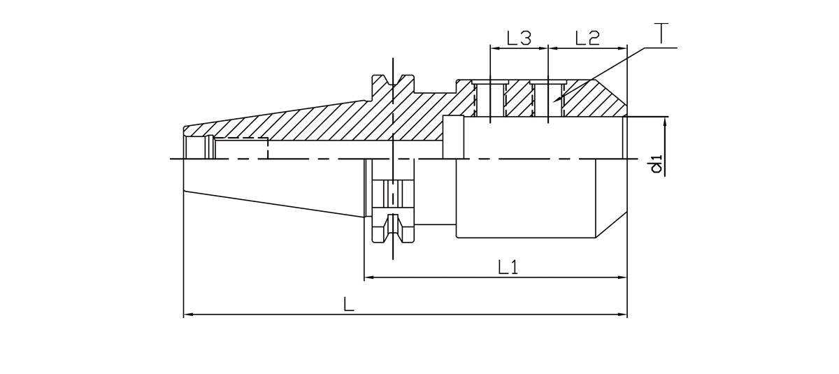 SK SLN  End Mill Holder  (DIN69871).jpg